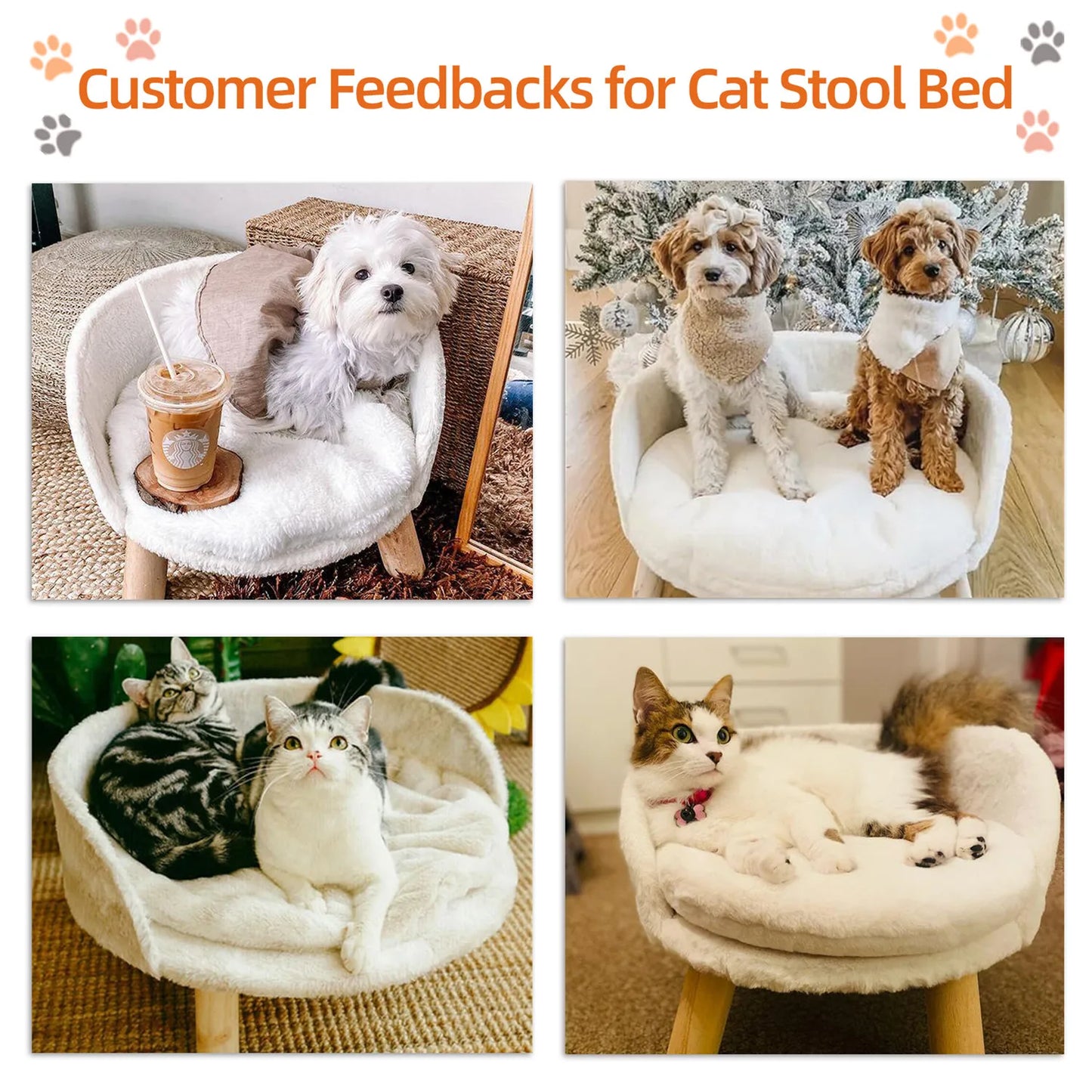 Raised Small Pet Sofa Bed Removable Cushion