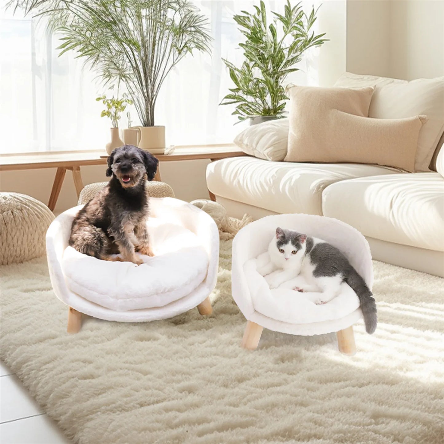 Raised Small Pet Sofa Bed Removable Cushion