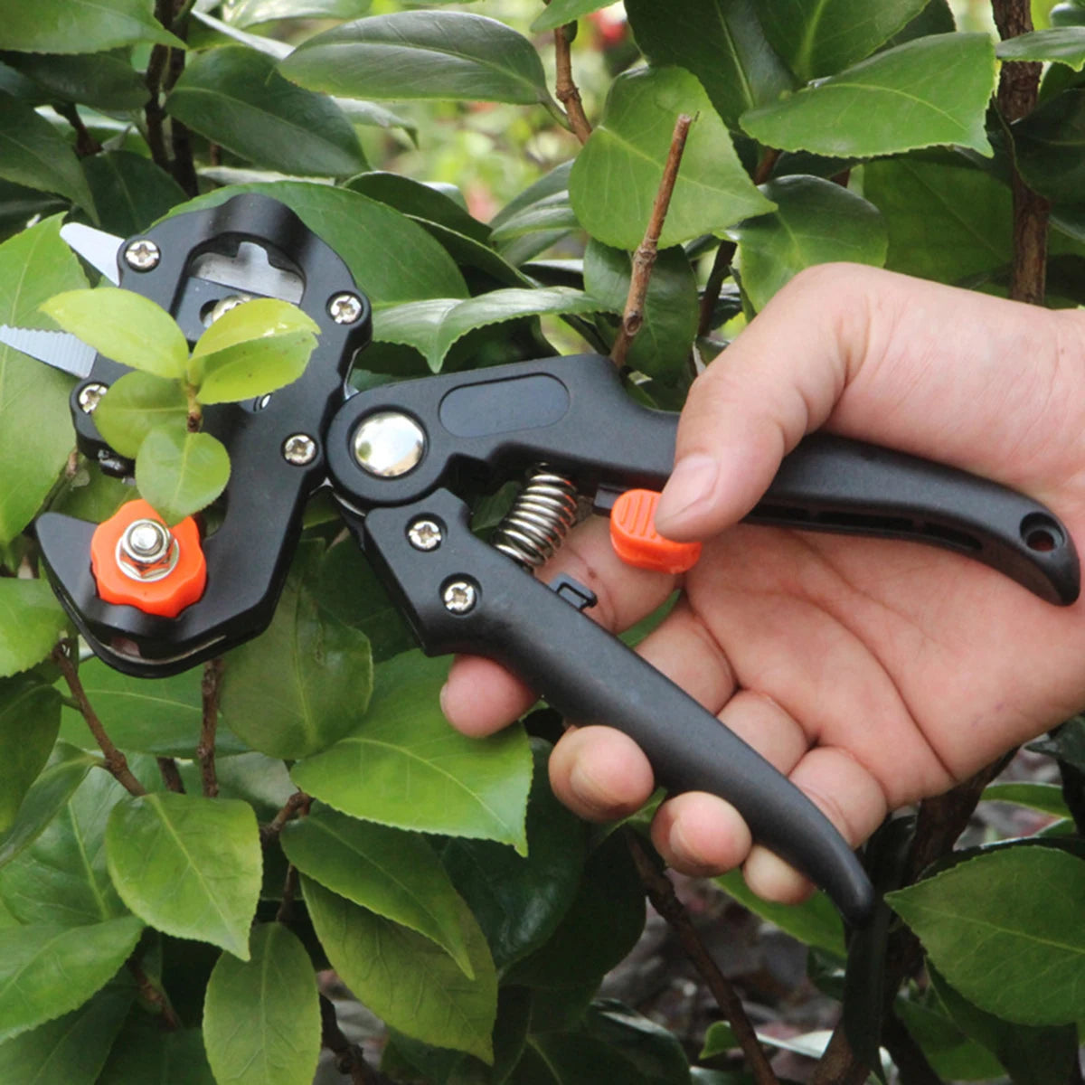 Grafting Pruner Plant Shears