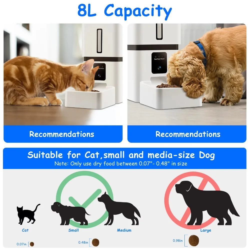 Automatic Feeders Water Fountain for Dogs and Cats