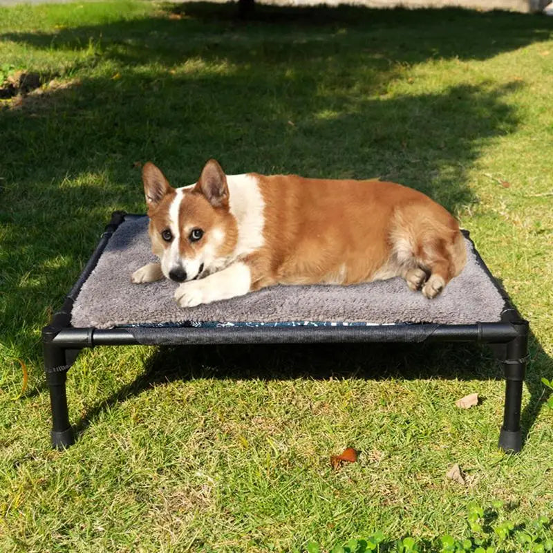 Foldable Raised Pet Cot With Removable Canopy For Camping