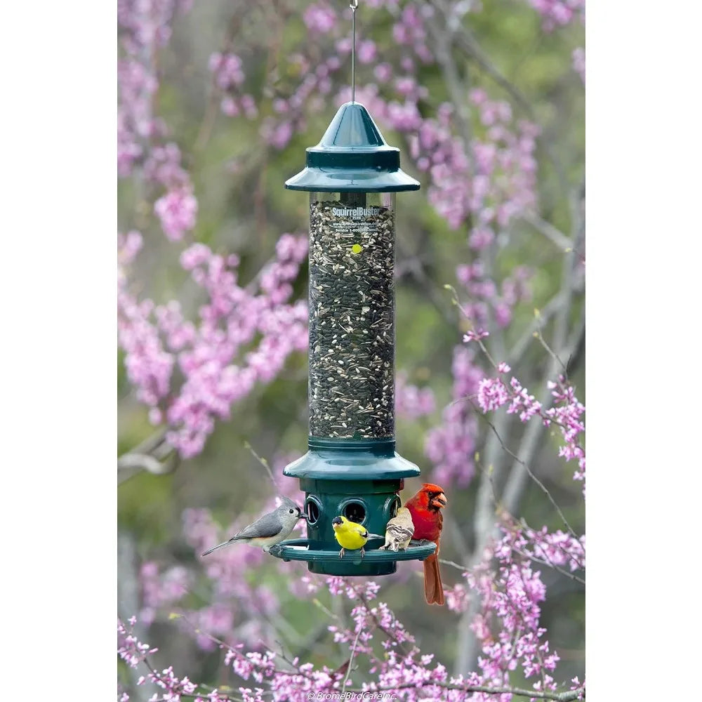 Squirrel-proof Bird Feeder w/Cardinal Ring and 6 Feeding Ports