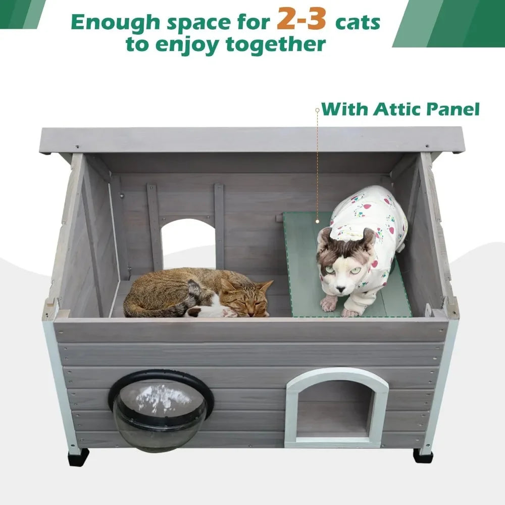 Outdoor Cat House for Feral Cats Clear Window and Attic Beds  Large Interior Space