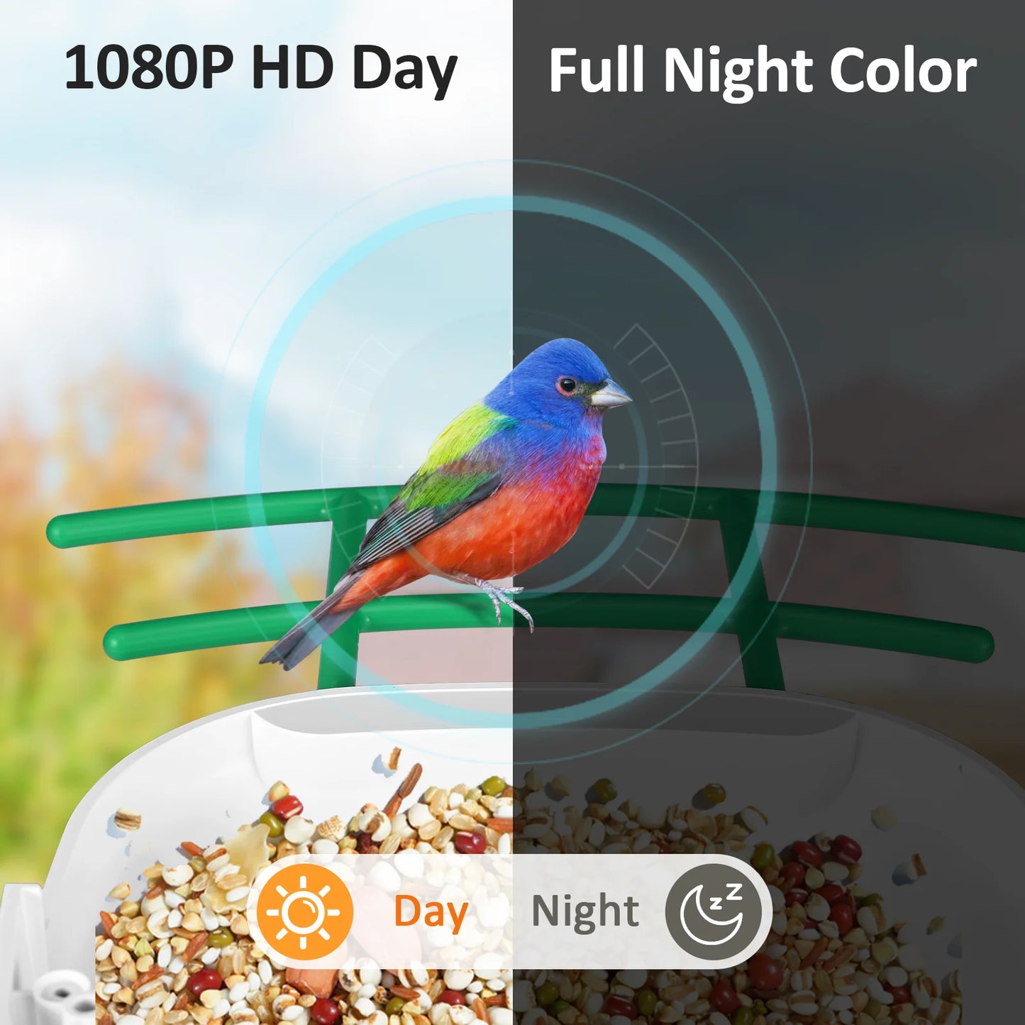 Smart Bird Feeder,1080P HD Camera & Solar Panel