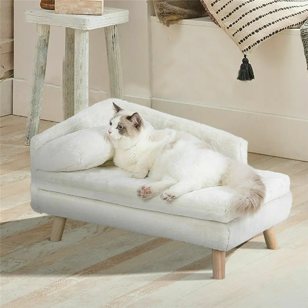 Solid Wood Leg Elevated Pet Sofa Plush with Soft Cushion