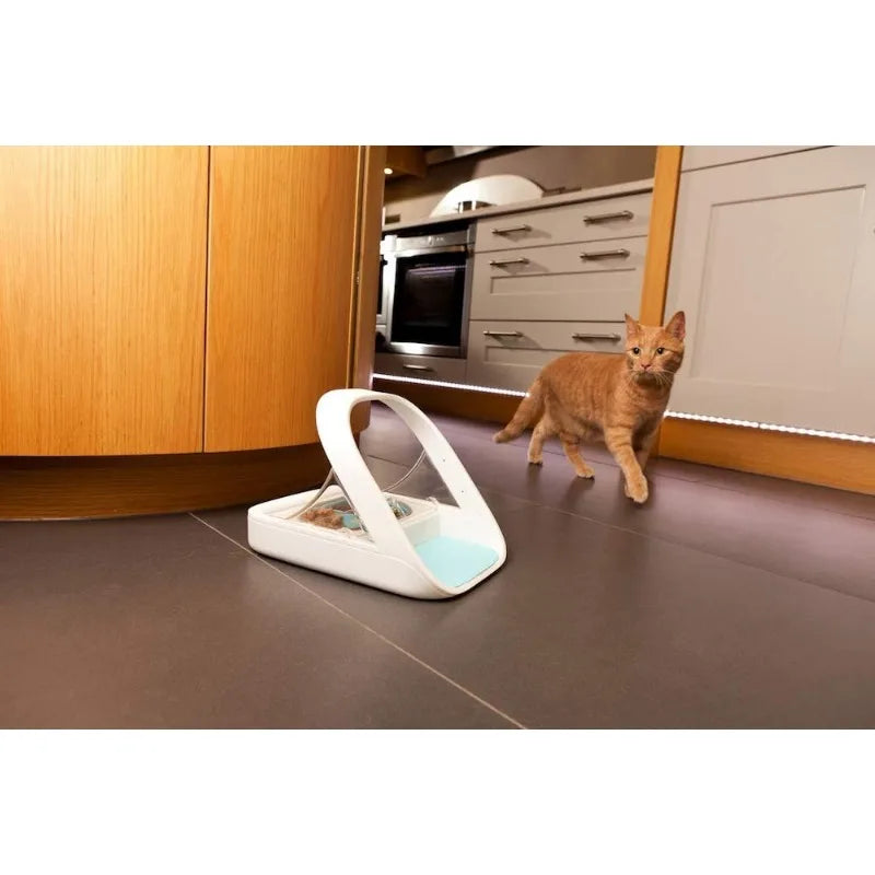 Automatic Microchip Pet Feeder