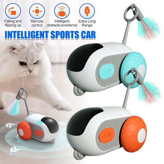 Remote Controlled Interactive Toy Car with Feather Tail