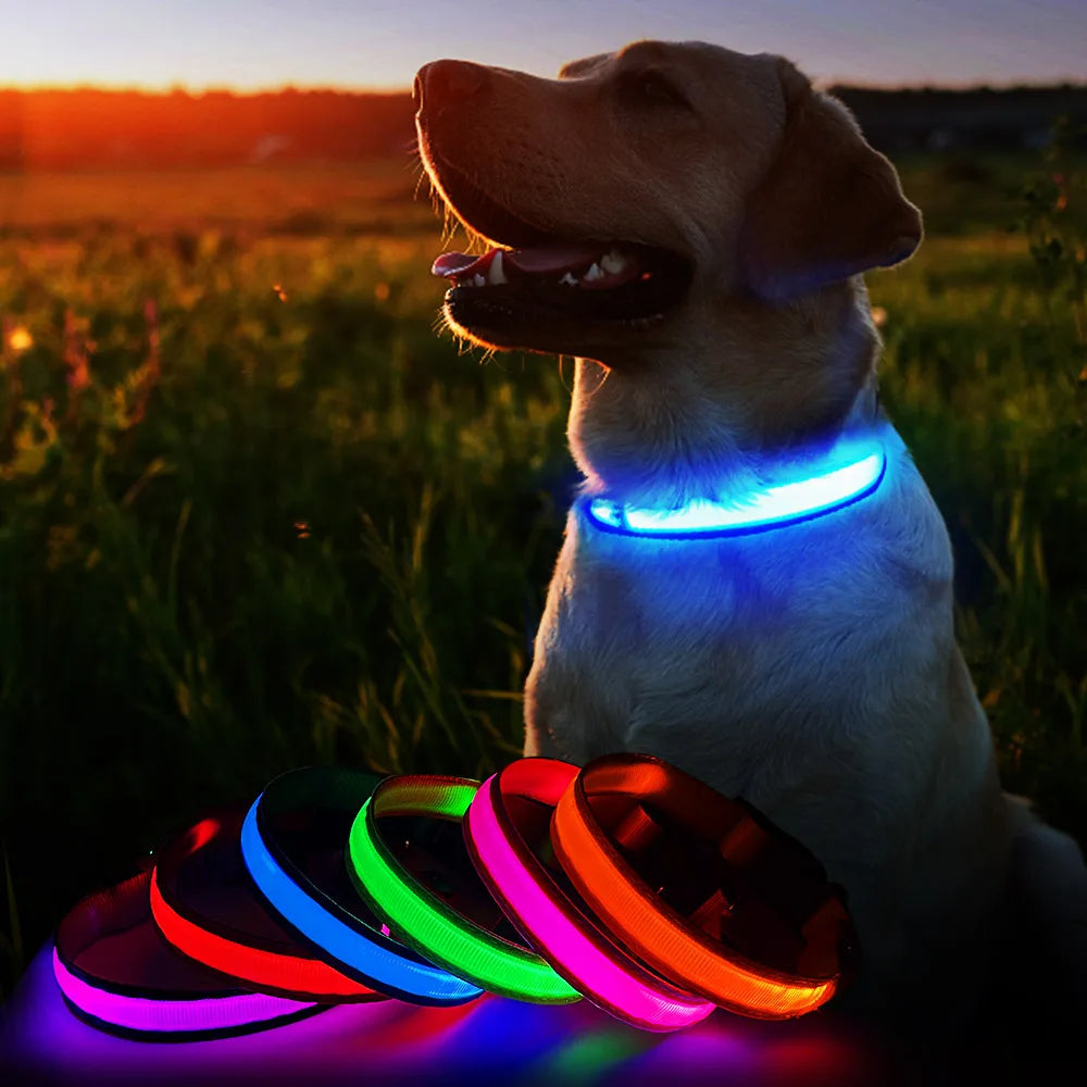 Luminous Dog Safety Collar Waterproof