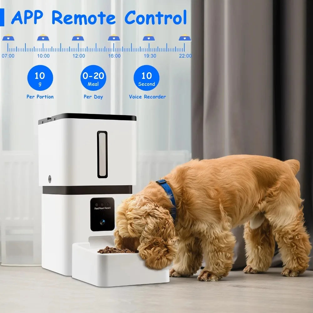 Automatic Feeders Water Fountain for Dogs and Cats