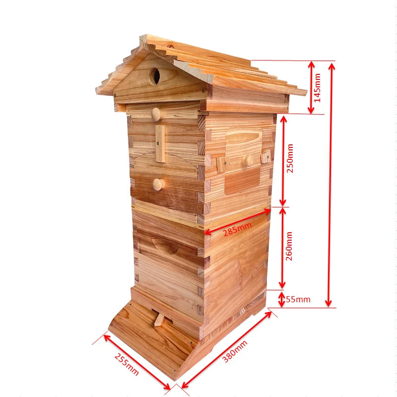 Mini 71*38*25cm Automatic Wooden Bee Hive